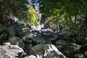 DSC09662-web.jpg