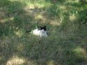 DSC02714.jpg
