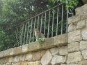 DSC03003.jpg