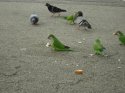 DSC02995.jpg