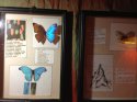 IMG_1452.jpg