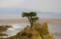 DSC_7086.jpg