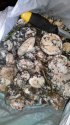 IMG_20130919_201643.jpg
