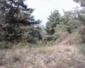 IMG0059A.jpg