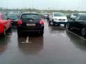 IMG_20130927_134436.jpg
