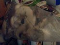 IMG_20131006_175426.jpg