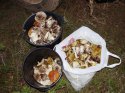 DSC03824.JPG