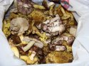 DSC03825.JPG