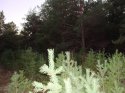 DSC03826.JPG