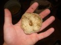 DSC03832.JPG