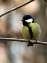 DSC00808-web.jpg