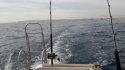2013-11-28-887.jpg