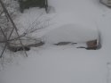 DSCF0466.JPG