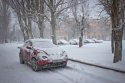 IMG_6290.jpg