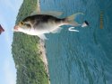 IMG_0395.jpg
