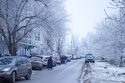 IMG_6759.jpg