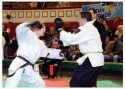 MG_8584.jpg