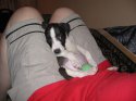 IMG_008311.jpg