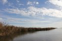 IMG_2113.jpg