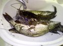 IMG_20140401_183931.jpg