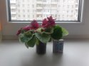 20140420_155337.jpg