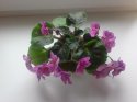 20140420_155434.jpg