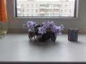 20140420_160417.jpg