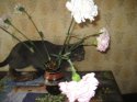 IMG_0589.jpg