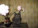 IMG_0591.jpg
