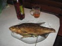 IMG_3371.JPG