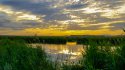 _DSC7200.jpg