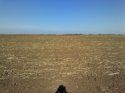 IMG_20141004_155033.jpg