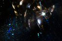 DSC04052-web.jpg