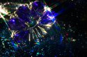 DSC04053-web.jpg
