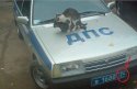 дпс34.jpg