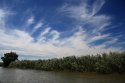 IMG_7537.jpg