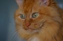 DSC07301.jpg
