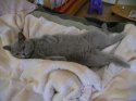 DSCN4272.jpg