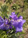 IMG_20150513_144555.jpg