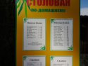 DSC01203.jpg