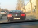 мустанг.jpg