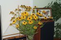 DSC02579.JPG