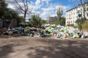 DSC01338.jpg