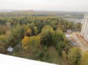 IMG_9732.jpg