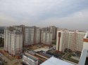 IMG_9733.jpg
