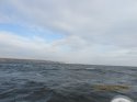 IMG_2124.JPG