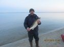 IMG_2141.JPG