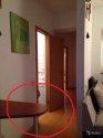 2113966069.jpg