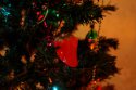 DSC00373.JPG