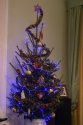 DSC02659.jpg